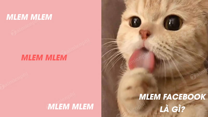 Mlem Mlem La Gi Nguồn Gốc Va Y Nghĩa Của Cụm Từ 35express